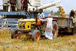 Farmers on their field