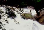 A waterfall at the Valley of Flowers